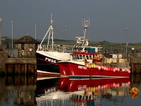 GB, Cornwall, Padstow 3, Saxifraga-Foto Fitis-Sytske Dijksen