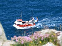 GB, Cornwall, Penzance, Sennen Cove 3, Saxifraga-Foto Fitis-Sytske Dijksen