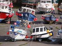 GB, Cornwall, Porthleven 1, Saxifraga-Foto Fitis-Sytske Dijksen