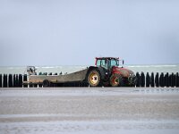 F, Pas-de-Calais, Escalles, Cap Blanc Nez 24, Saxifraga-Foto Fitis-Sytske Dijksen