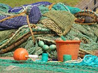 NL, Noord-Holland, Texel, Oudeschild 10, Saxifraga-Foto Fitis-Sytske Dijksen