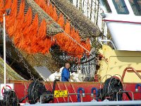 NL, Noord-Holland, Texel, Oudeschild 9, Saxifraga-Foto Fitis-Sytske Dijksen
