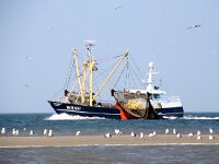 NL, Noord-Holland, Texel, paal 9 25, Shrimp boat, Saxifraga-Foto Fitis-Sytske Dijksen
