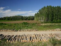 H, Hadju-Bihar, Hortobagy, Tiszadob 3, Saxifraga-Dirk Hilbers