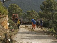 E, Malaga, Estepona, Puerto de Peñas Blancas 3, Saxifraga-Willem van Kruijsbergen