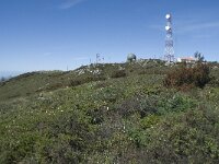 P, Faro, Monchique, Foia 4, Saxifraga-Willem van Kruijsbergen