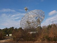 NL, Drenthe, Westerveld, Dwingelderveld 10, Saxifraga-Hans Dekker