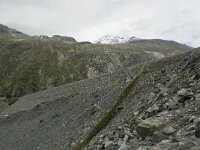 CH, Wallis, Saas Almagell, Mattmark 25, Saxifraga-Willem van Kruijsbergen