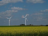 D, Niedersachsen, Fuerstenau 2, Saxifraga-Hans Dekker