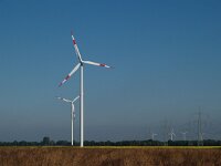 D, Niedersachsen, Geeste 2, Saxifraga-Hans Dekker