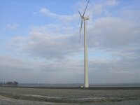 NL, Flevoland, Zeewolde 1, Saxifraga-Henk Sierdsema