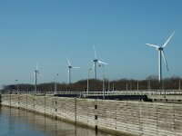 NL, Noord-Brabant, Willemstad, Volkeraksluizen 3, Saxifraga-Jan van der Straaten