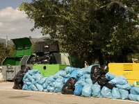 E, Girona, La Junquera 1, Saxifraga-Jan van der Straaten