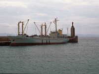 E, Cadiz, Tarifa 27, Saxifraga-Jan van der Straaten