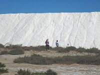 F, Bouches-du-Rhone, Arles, Salin de Giraud 5, Saxifraga-Jan van der Straaten