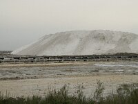 F, Bouches-du-Rhone, Arles, Salin de Giraud 5, Saxifraga-Willem van Kruijsbergen