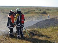 NL, Noord-Holland, Texel, Loodsmansduin 1, Saxifraga-Foto Fitis-Sytske Dijksen
