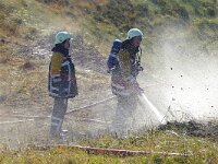 NL, Noord-Holland, Texel, Loodsmansduin 4, Saxifraga-Foto Fitis-Sytske Dijksen