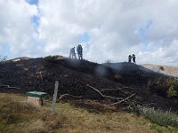 NL, Noord-Holland, Texel, Rommelpot 11, Saxifraga-Foto Fitis-Sytske Dijksen