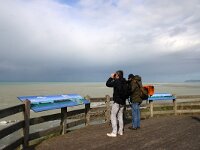 F, Pas-de-Calais, Audinghen, Cap Gris Nez 12, Saxifraga-Foto Fitis-Sytske Dijksen