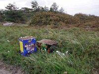 NL, Noord-Holland, Texel, Jan Ayeslag 1, Saxifraga-Foto Fitis-Sytske Dijksen