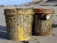 NL, Noord-Holland, Texel, paal 13 1, Saxifraga-Foto Fitis-Sytske Dijksen