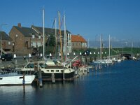 NL, Zuid-Holland, Goeree-Overflakkee, Ouddorp 10, Saxifraga-Jan van der Straaten