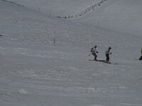 E, Granada, Monachil, Pradollano 41, Saxifraga-Willem van Kruijsbergen