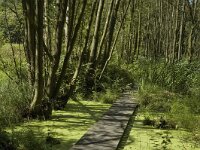 Tourist accomodation in nature-Toeristische accomodatie in de natuur