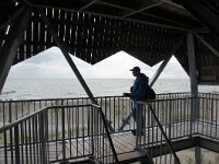 NL, Flevoland, Lelystad, Marker Wadden 8, Saxifraga-Foto Fitis-Sytske Dijksen