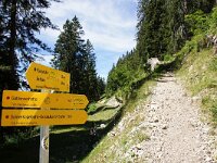 A, Salzburg, Annaberg-Lungoetz 1, Saxifraga-Foto Fitis-Sytske Dijksen