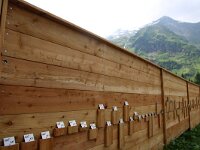 A, Salzburg, Rauris, Kolm Saigurn 2, Saxifraga-Foto Fitis-Sytske Dijksen