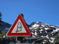 A, Salzburg, Rauris, Kolm Saigurn 3, Saxifraga-Foto Fitis-Sytske Dijksen