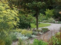 B, Antwerpen, Antwerpen, Botanische tuin 2, Saxifraga-Foto Fitis-Sytske Dijksen