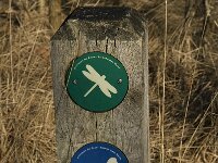 B, Antwerpen, Kalmthout, Kalmthoutse Heide 4, Saxifraga-Jan van der Straaten