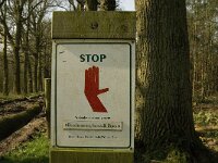 B, Antwerpen, Merksplas, Wortel-Kolonie 4, Saxifraga-Marijke Verhagen