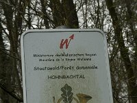 B, Liege, Kelmisch, Hohnbachtal 1, Saxifraga-Willem van Kruijsbergen