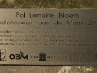 B, Limburg, Maaseik, Bosbeek 12, Saxifraga-Jan van der Straaten