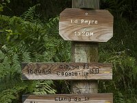 F, Ariege, Ustou, Cirque de Cagateille 2, Saxifraga-Willem van Kruijsbergen