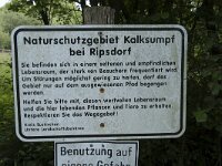 D, Nordrhein-Westfalen, Blankenheim, Ripsdorf, Kalksumpf 5, Saxifraga-Willem van Kruijsbergen