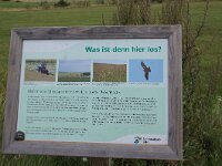 D, Nordrhein-Westfalen, Schleiden, Dreiborner Hochflaeche 1, Saxifraga-Foto Fitis-Sytske Dijksen