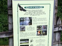 GB, Cornwall, Bodmin 6, Saxifraga-Foto Fitis-Sytske Dijksen