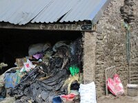 GB, Cornwall, Fowey, Polkerris 1, Saxifraga-Foto Fitis-Sytske Dijksen