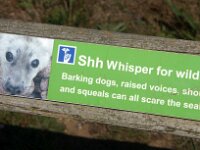 GB, Cornwall, Gwithian, Godrevy Point 1, Saxifraga-Foto Fitis-Sytske Dijksen