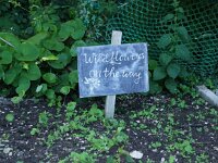 GB, Cornwall, Padstow 22, Saxifraga-Foto Fitis-Sytske Dijksen