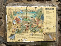 GB, Cornwall, St Agnes 2, Saxifraga-Foto Fitis-Sytske Dijksen