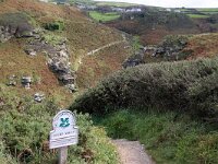 GB, Cornwall, Tintagel, SW Coastpath, Rocky Valley 3, Saxifraga-Foto Fitis-Sytske Dijksen