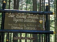 I, Pistoia, Abetone 11, Saxifraga-Jan van der Straaten