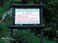 I, Pistoia, Abetone 5, Saxifraga-Jan van der Straaten