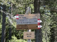 I, Sued Tirol, Sankt Ulrich, Balest 13, Saxifraga-Willem van Kruijsbergen